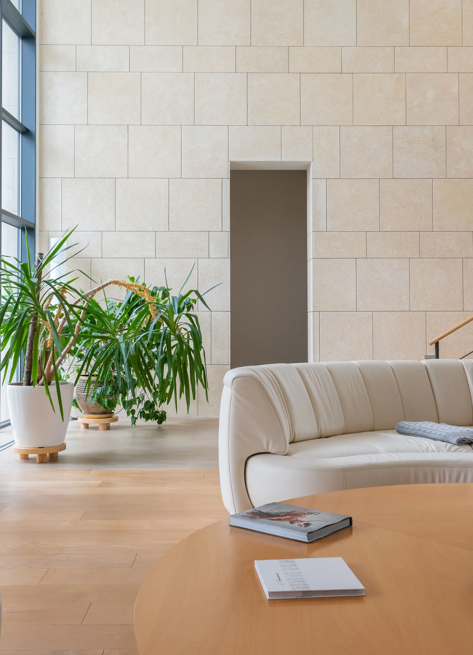 Warm minimalist living room with curved sofa and sculpted timber table